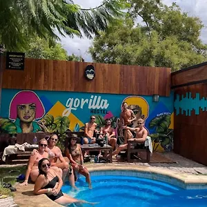 Albergue Gorilla Hostel
